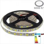 BANDE-LED-12V-14W4-BLANC-FROID-6000K-0748