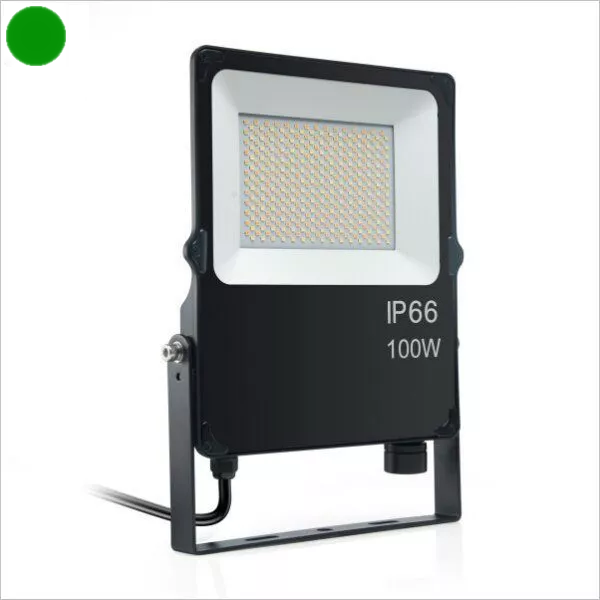 Projecteur-led-pro-100w-CCT-ip66-vert